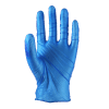 Lynn River Powder Free Blue Vinyl Gloves