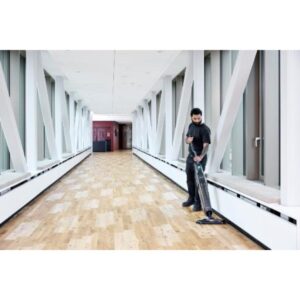 Carpet Cleaning