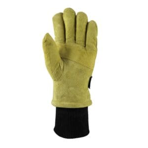 UltraCold Double Insulated Gloves (1 Pair)