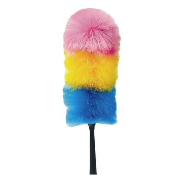 Rainbow Duster 22mm x 550mm